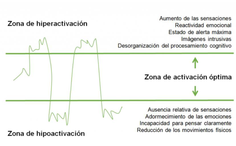 Ventana de tolerancia emocional